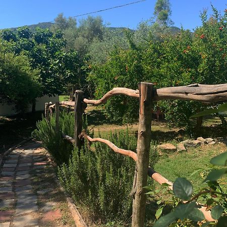 S'Imbragu Farm B&B Tortolì Buitenkant foto