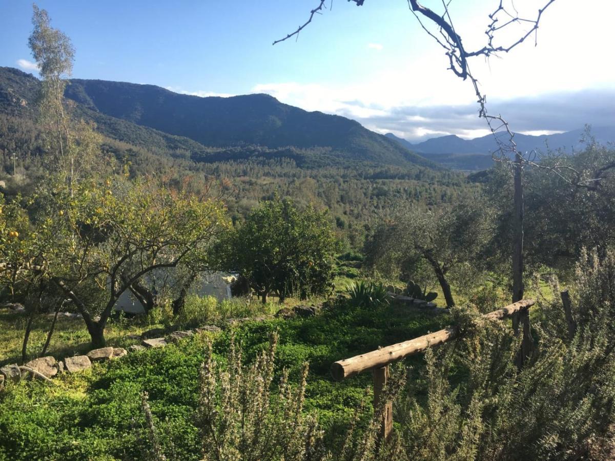 S'Imbragu Farm B&B Tortolì Buitenkant foto