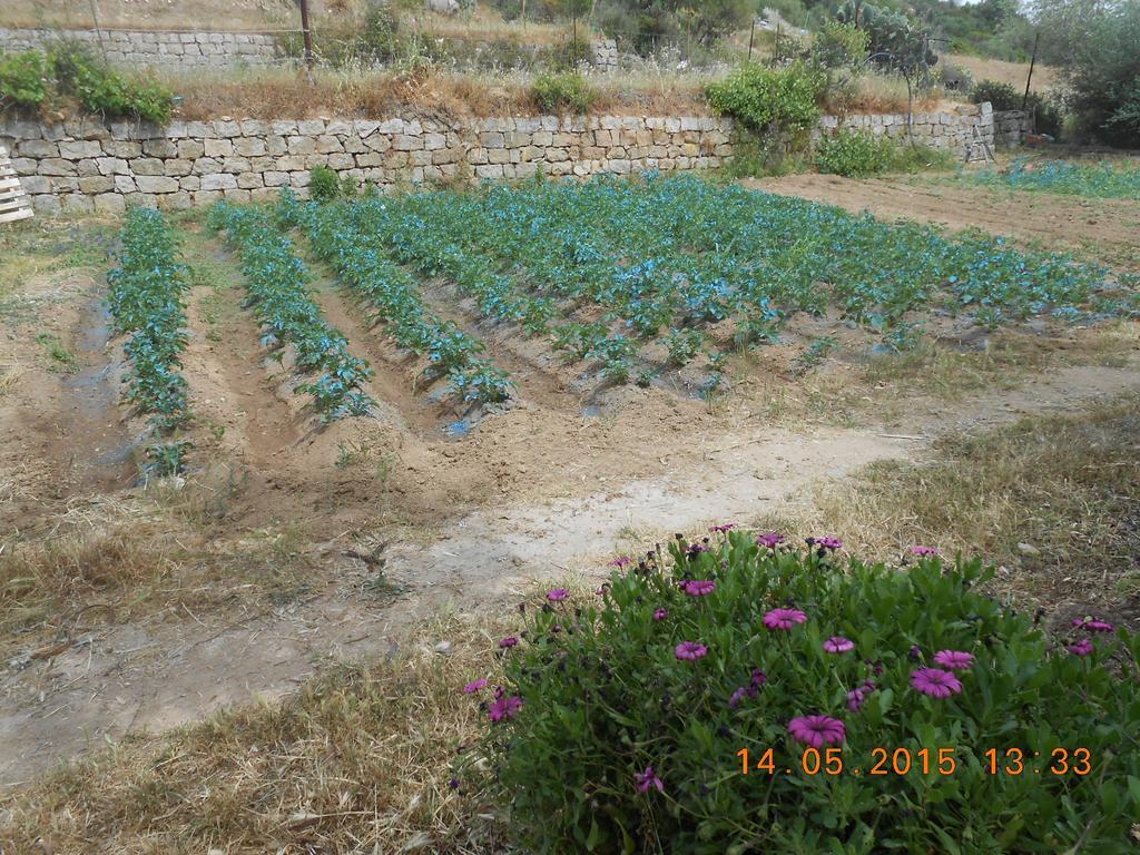 S'Imbragu Farm B&B Tortolì Buitenkant foto