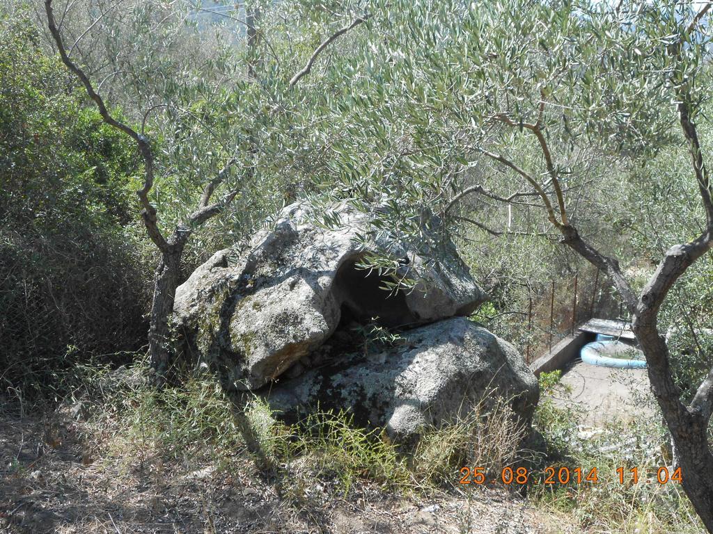 S'Imbragu Farm B&B Tortolì Buitenkant foto