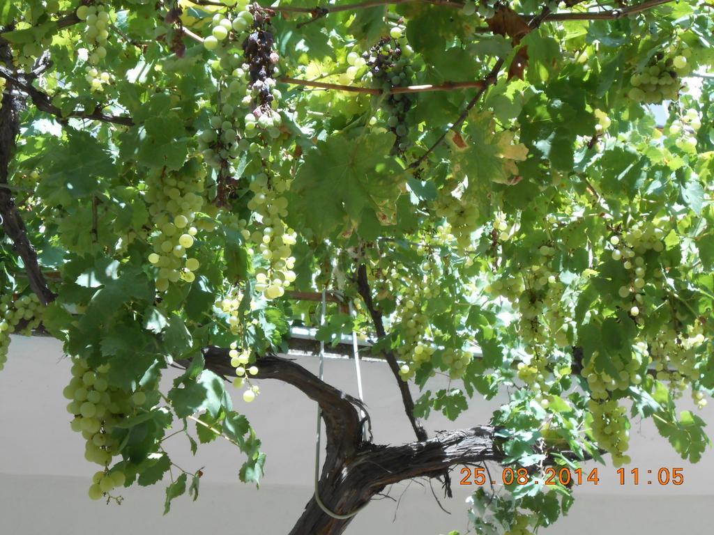 S'Imbragu Farm B&B Tortolì Buitenkant foto
