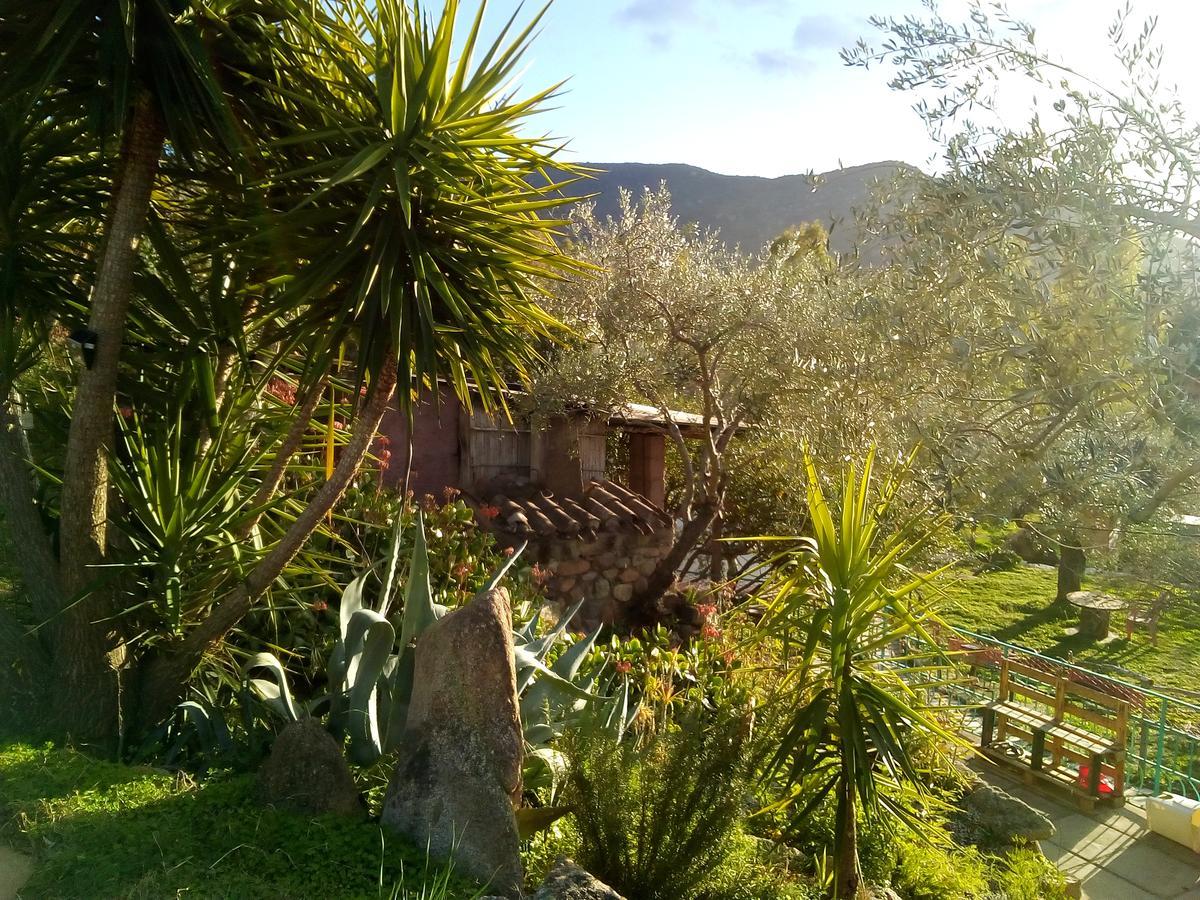 S'Imbragu Farm B&B Tortolì Buitenkant foto