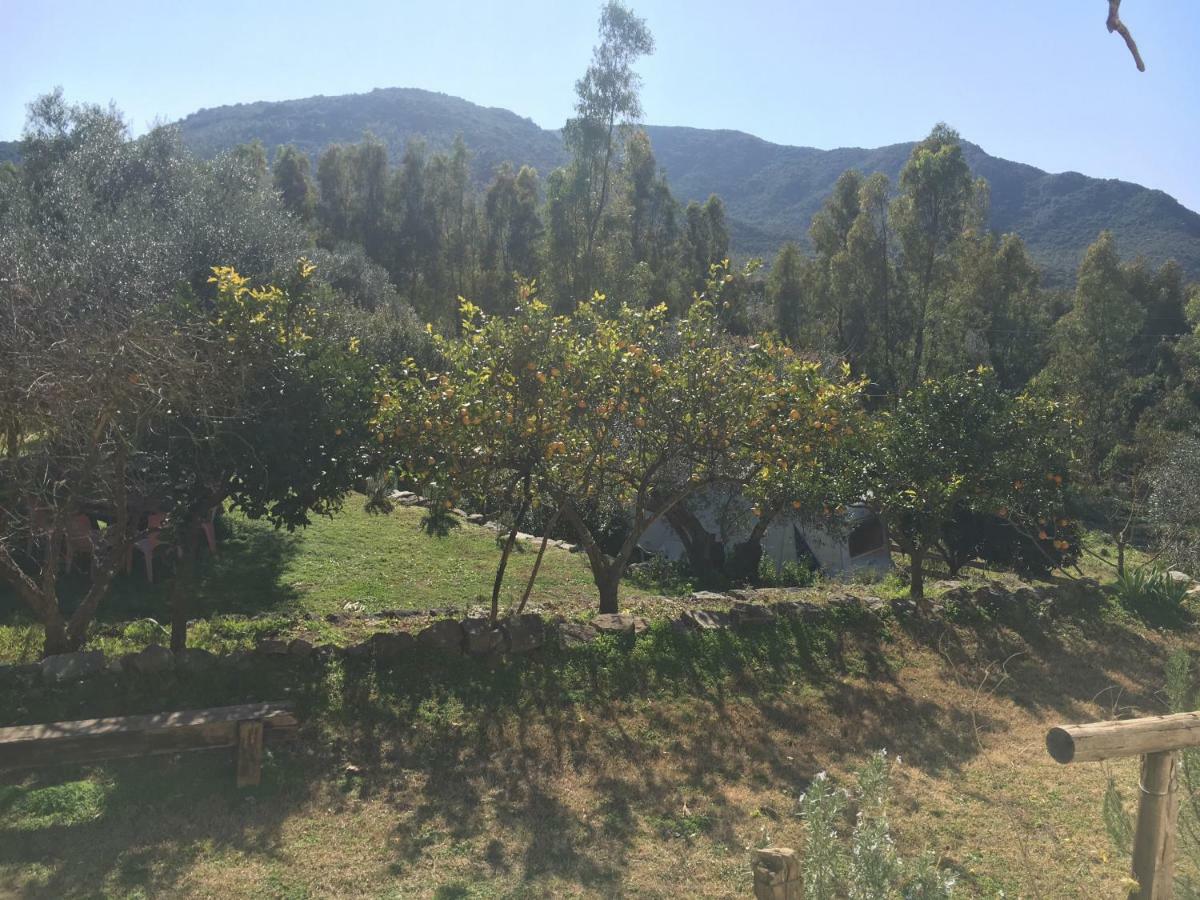 S'Imbragu Farm B&B Tortolì Buitenkant foto