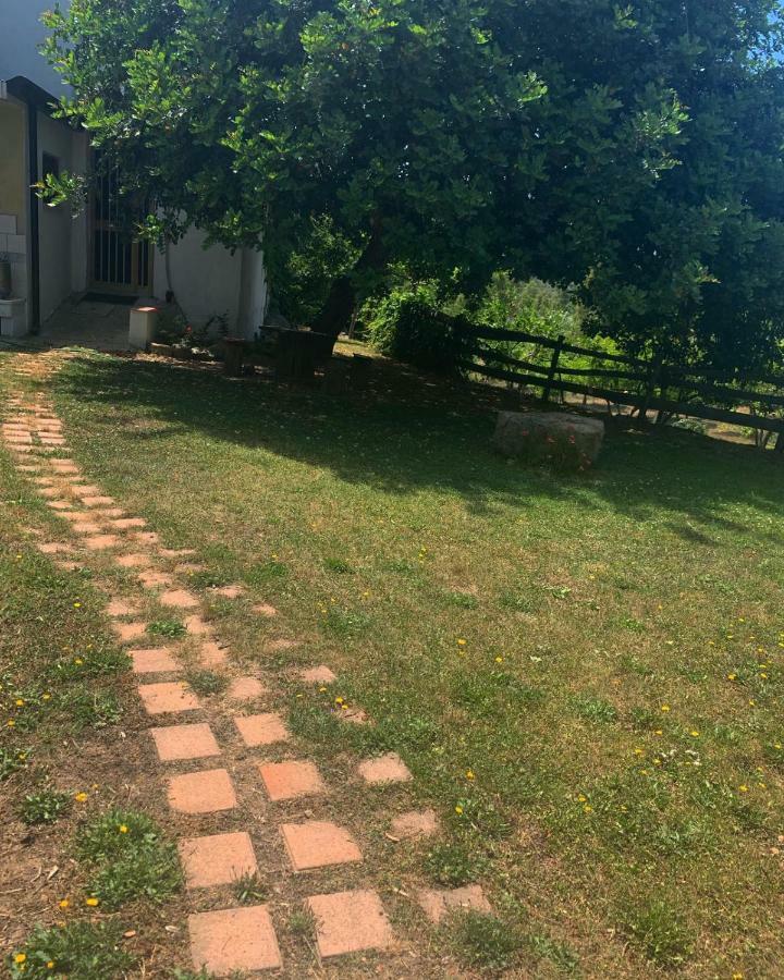 S'Imbragu Farm B&B Tortolì Buitenkant foto