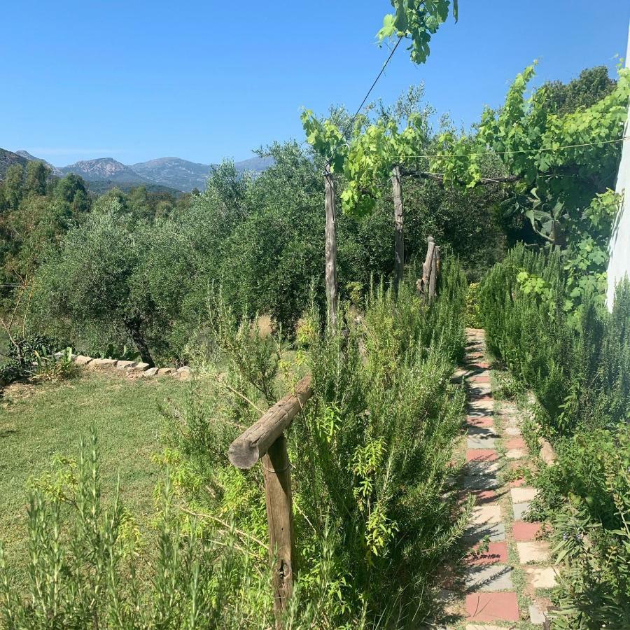 S'Imbragu Farm B&B Tortolì Buitenkant foto