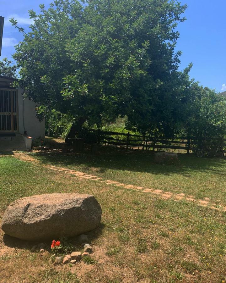 S'Imbragu Farm B&B Tortolì Buitenkant foto